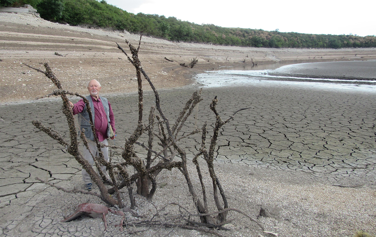 Академик НАН: На месте Каховского водохранилища за 20 лет вырастет уникальный лес